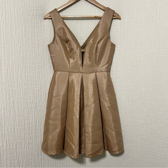 Forever 21 Champagne Skater Dress size S Small - Picture 1 of 6
